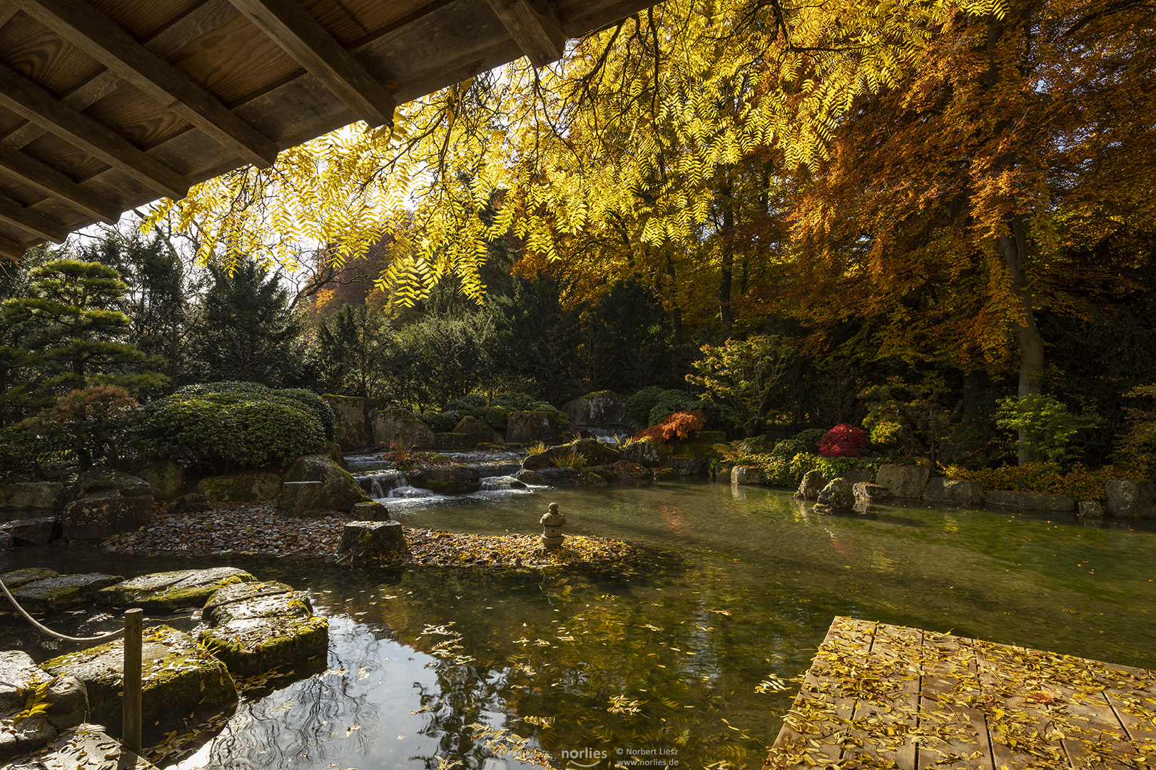 Ausblick im Japangarten