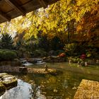 Ausblick im Japangarten