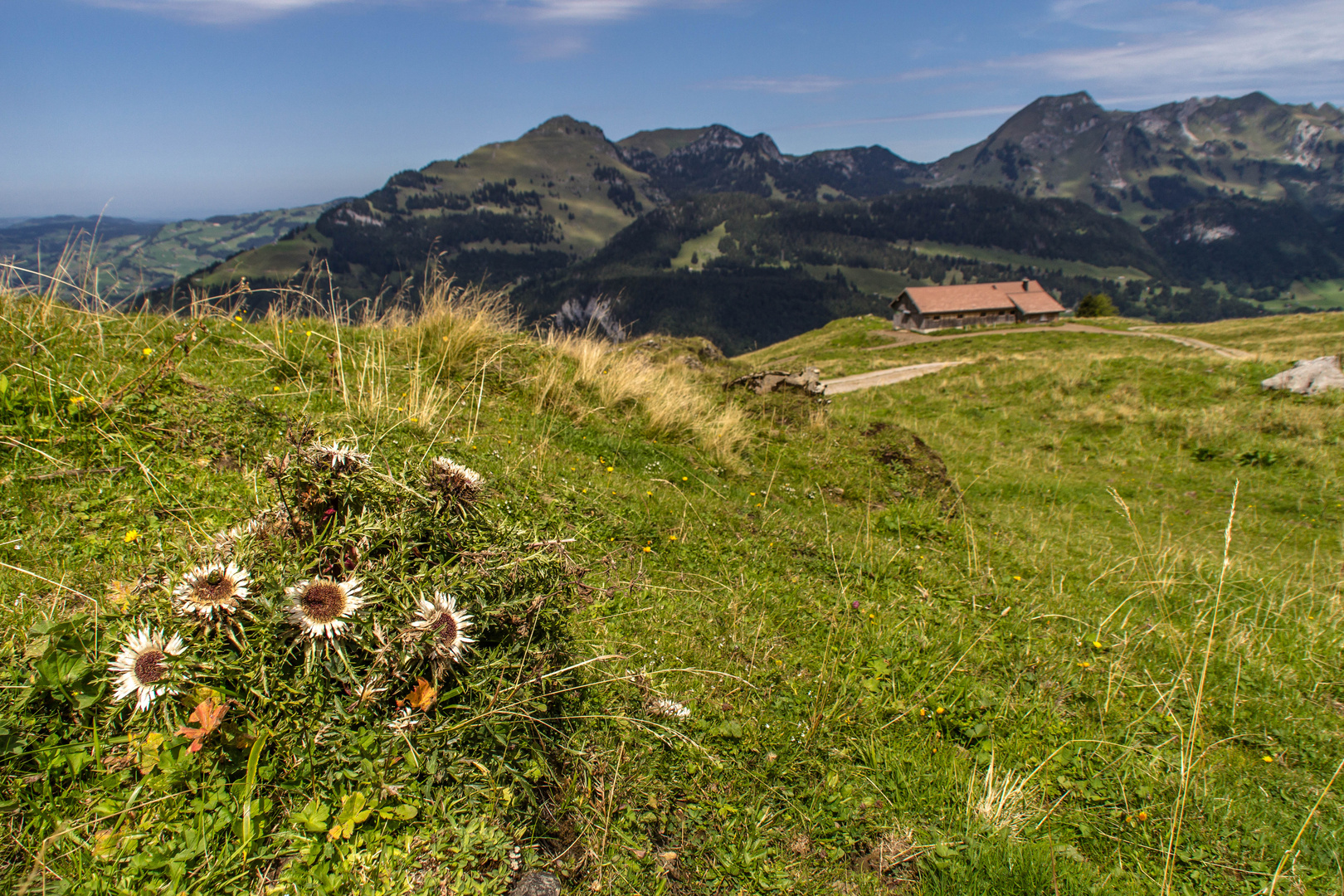 Ausblick im Toggenburg