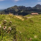 Ausblick im Toggenburg