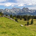 Ausblick im Toggenburg - der Säntis