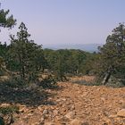 Ausblick im Troodos-Gebirge Zypern