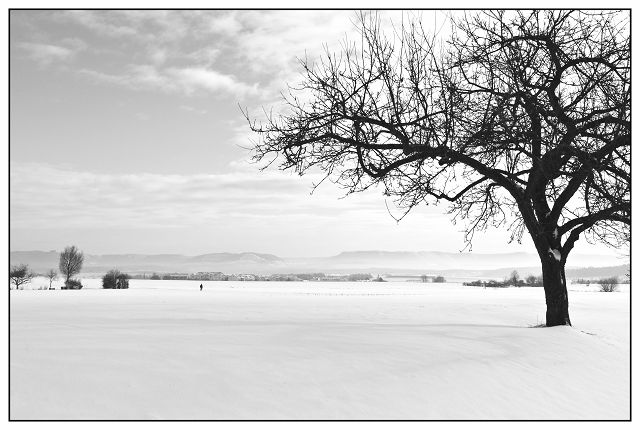 Ausblick im Winter