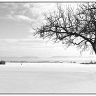 Ausblick im Winter