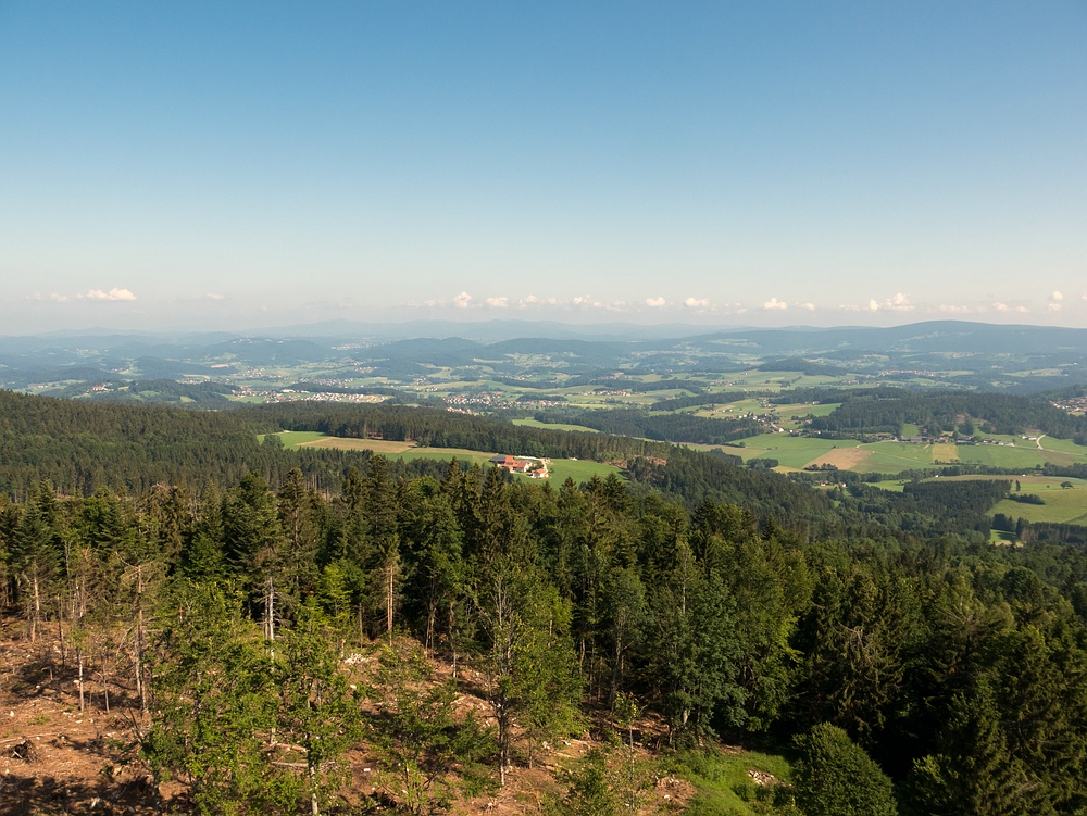 Ausblick in den Bayerischen Wald vom Aussichtsturm Oberfrauenwald