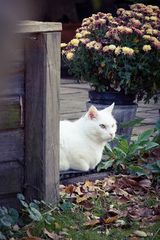 Ausblick in den Herbst