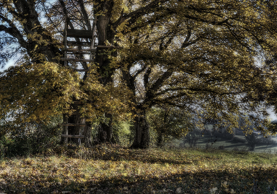 Ausblick in den Herbst