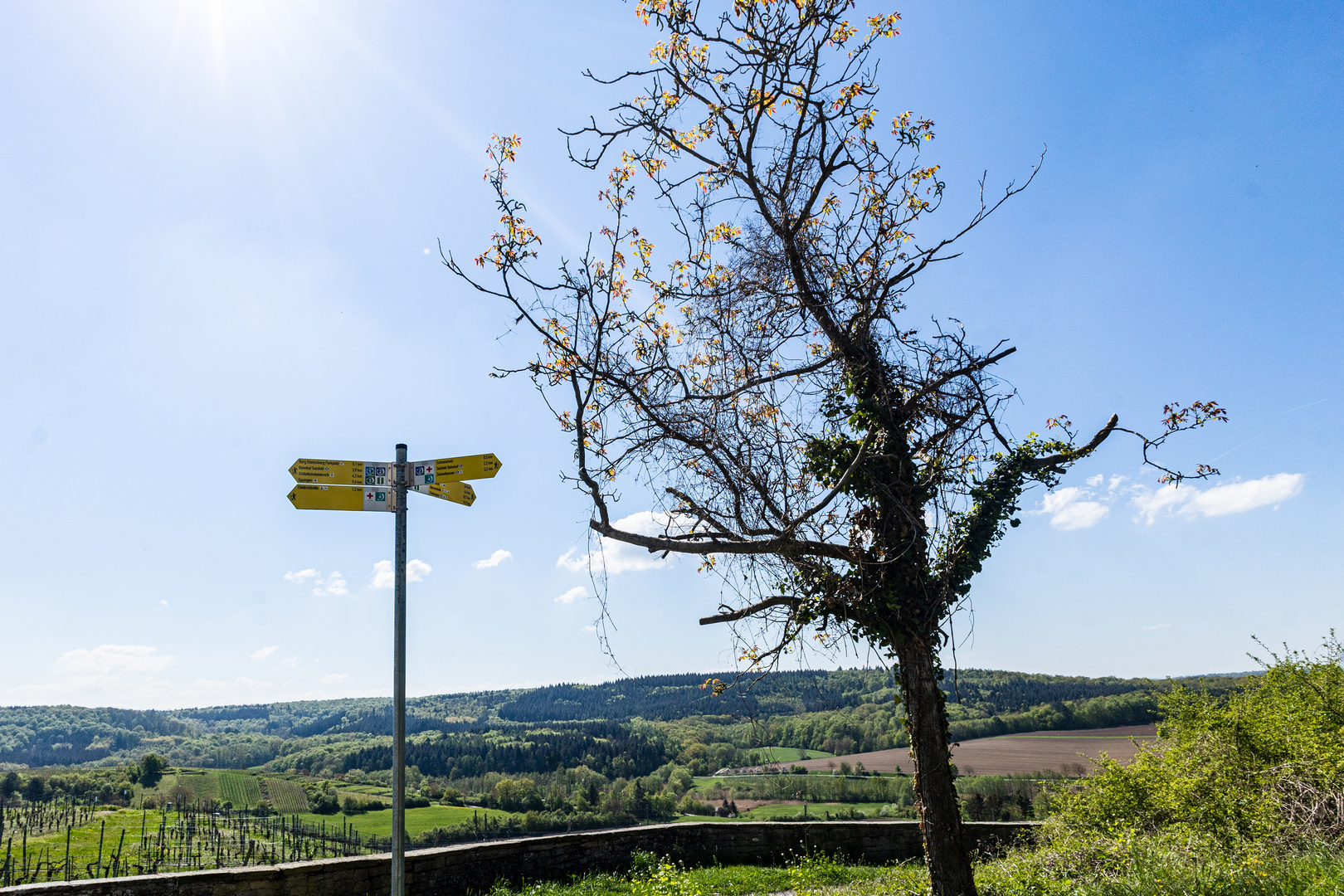 Ausblick in den Kraichgau