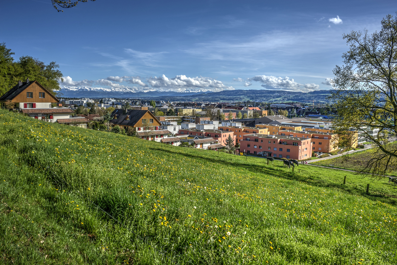 Ausblick in die Berge