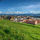 Ausblick in die Berge