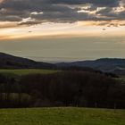 Ausblick in die Rheinebene