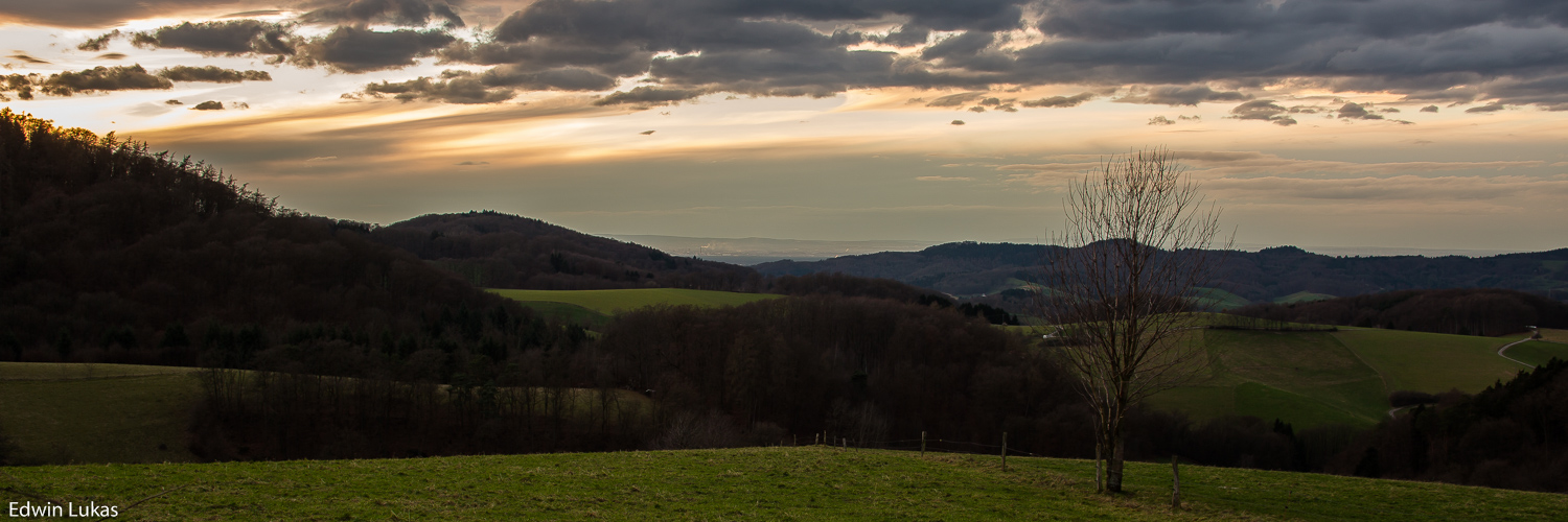 Ausblick in die Rheinebene