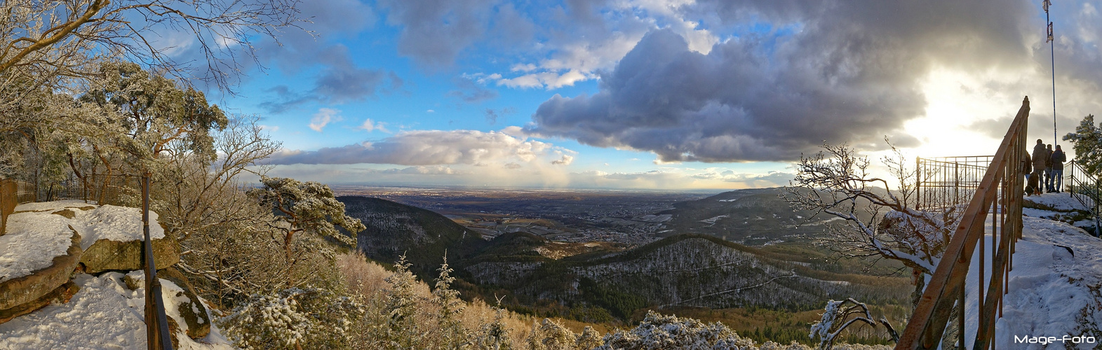 Ausblick in die Rheinebene