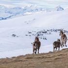 Ausblick in die Zukunft - aber was für eine? 