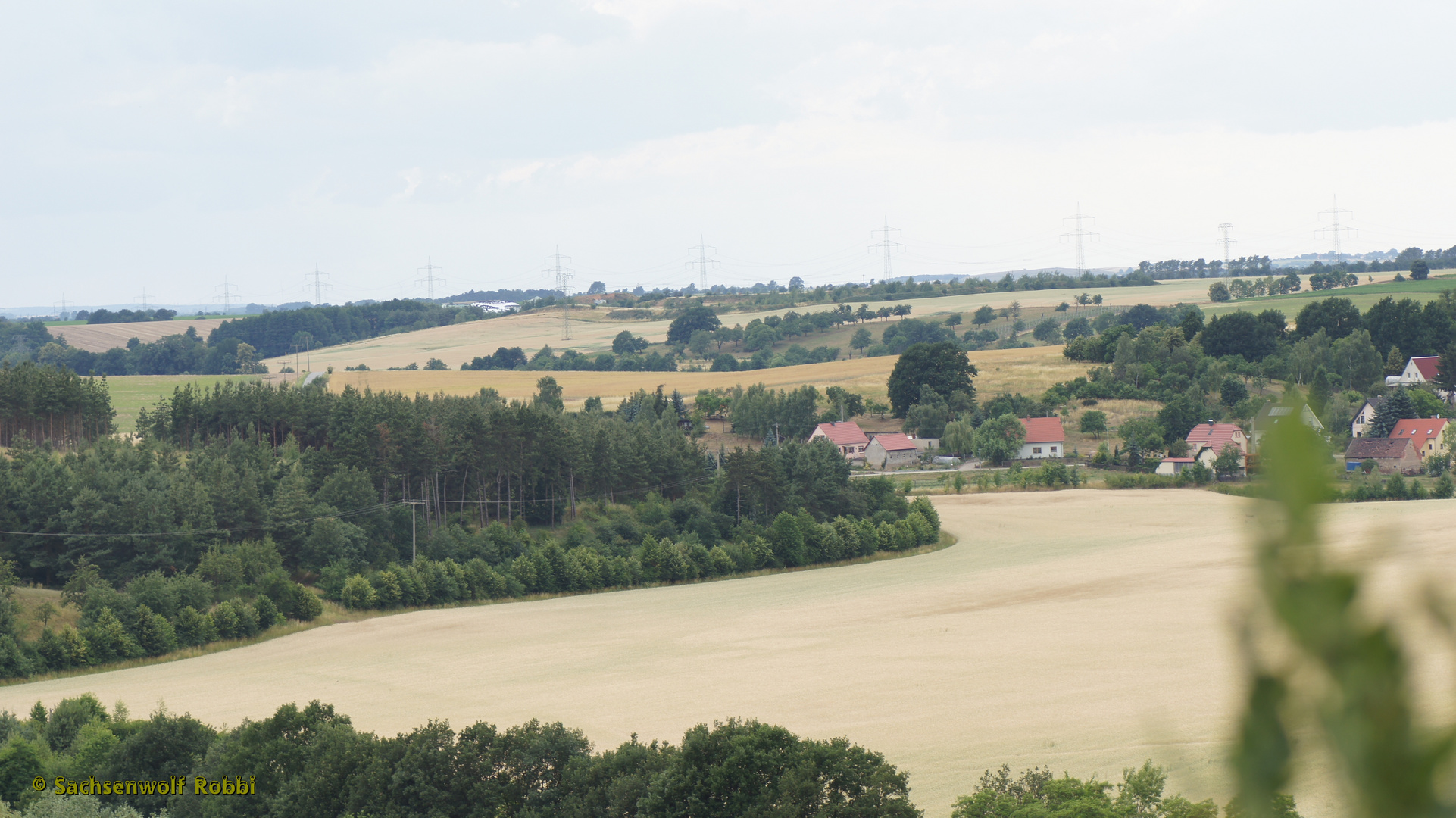 Ausblick in Diesbar Seußlitz 2