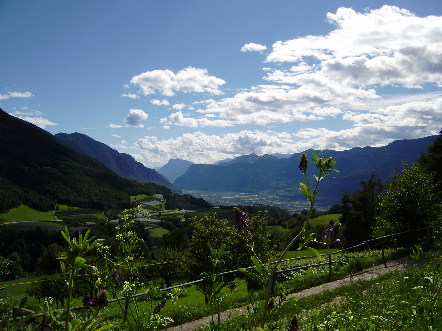 Ausblick in ein Südtiroler Tal