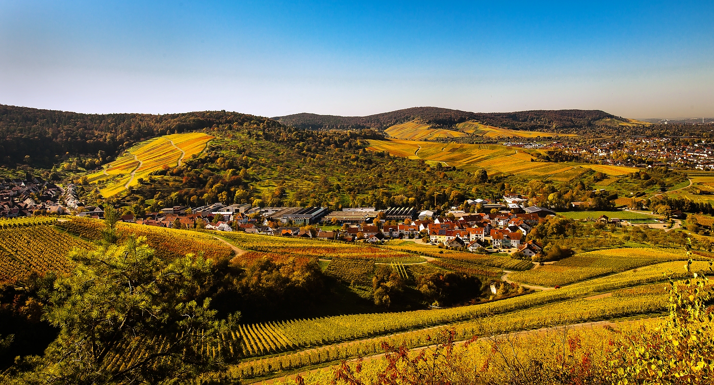 Ausblick ins bunte Herbstland