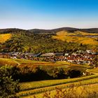 Ausblick ins bunte Herbstland