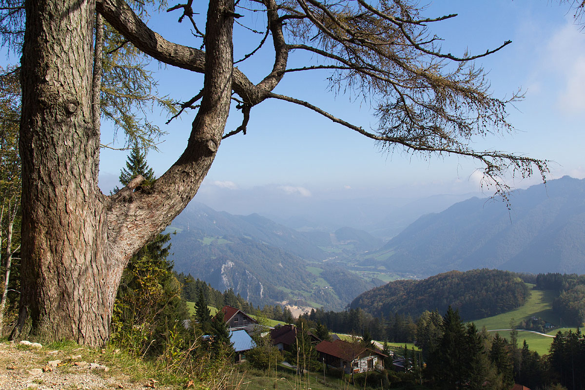 Ausblick ins Ennstal