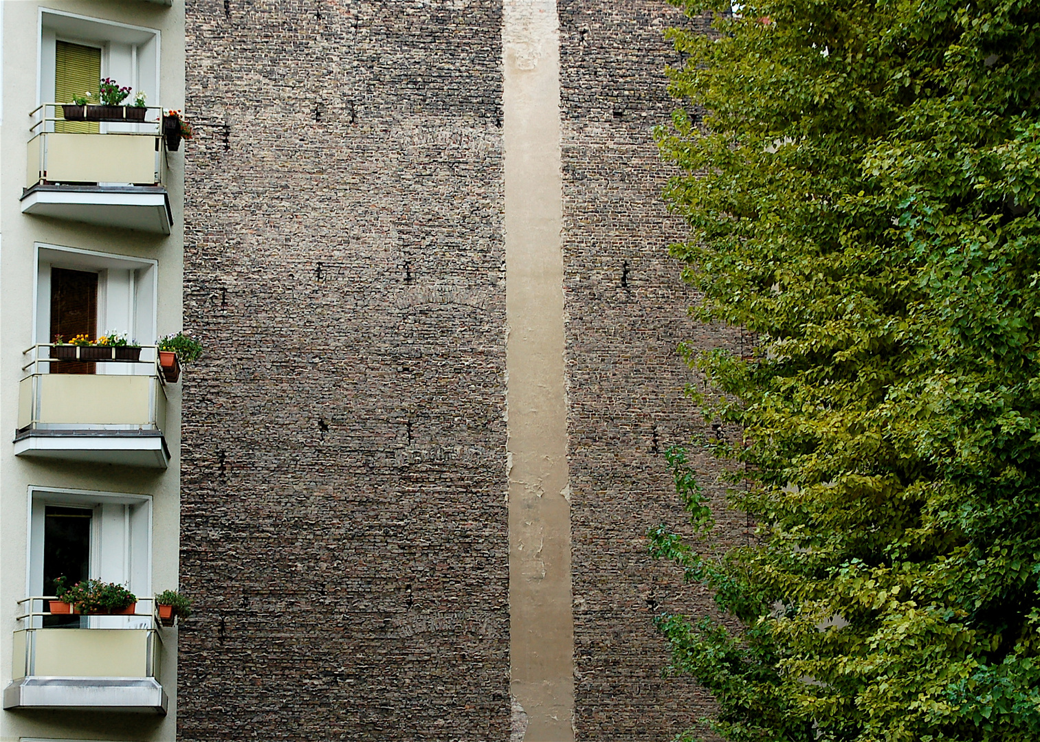 Ausblick ins Grüne