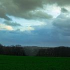 Ausblick ins Grüne