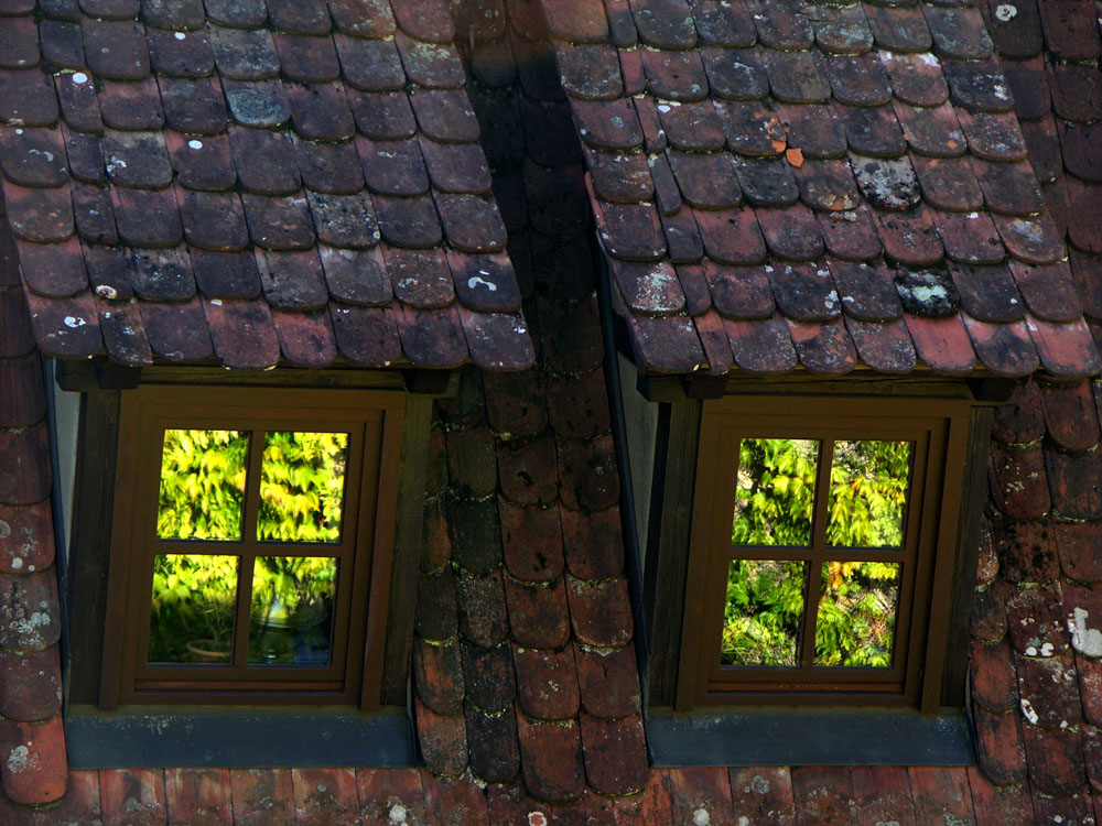 Ausblick in's Grüne