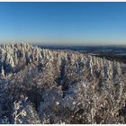 Ausblick ins neue Jahr