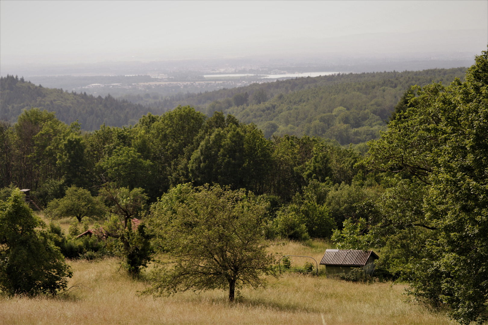 Ausblick ins Rheintal