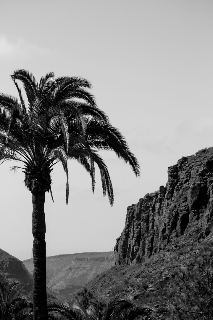 Ausblick ins trockene Tal