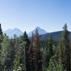 Ausblick Jasper National Park