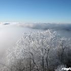 Ausblick Kaiser Wilhelm Turm - Hohe Acht - Weihnachten 2006