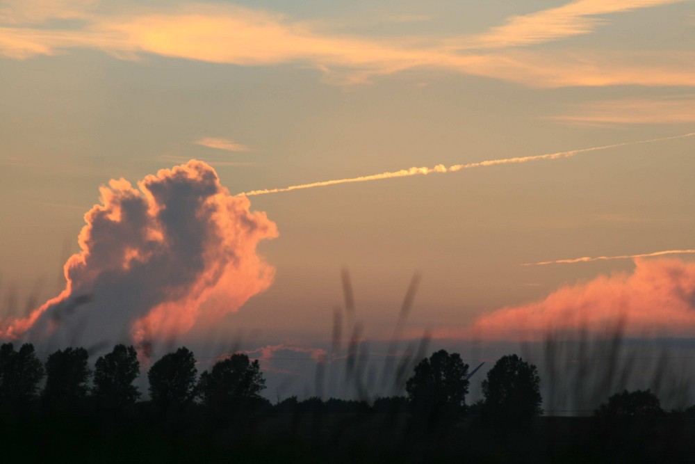 Ausblick: Kuechenfenster