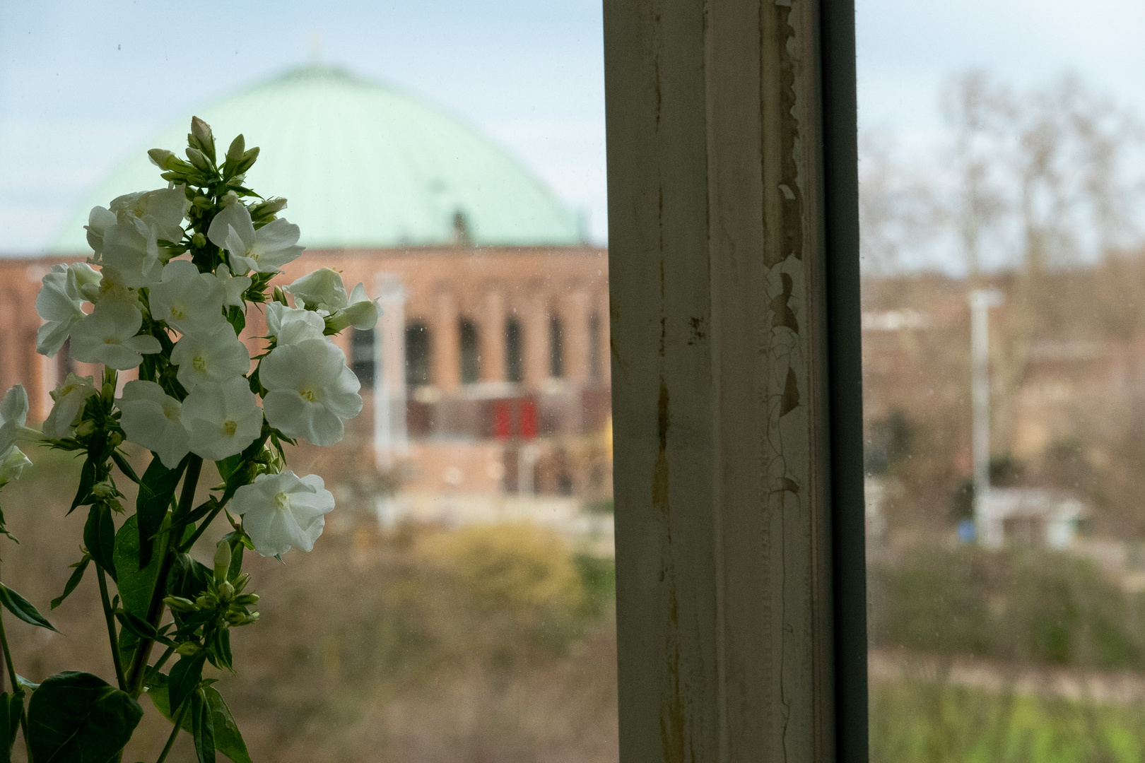 Ausblick Kunstakademie Düsseldorf 