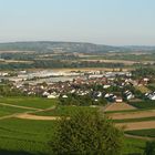 Ausblick Langenlonsheim