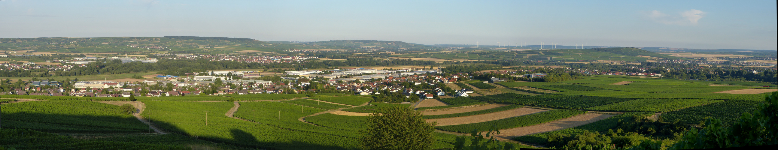 Ausblick Langenlonsheim