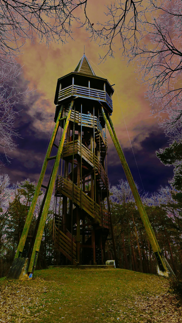 Ausblick mitten im Wald