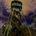 Ausblick mitten im Wald