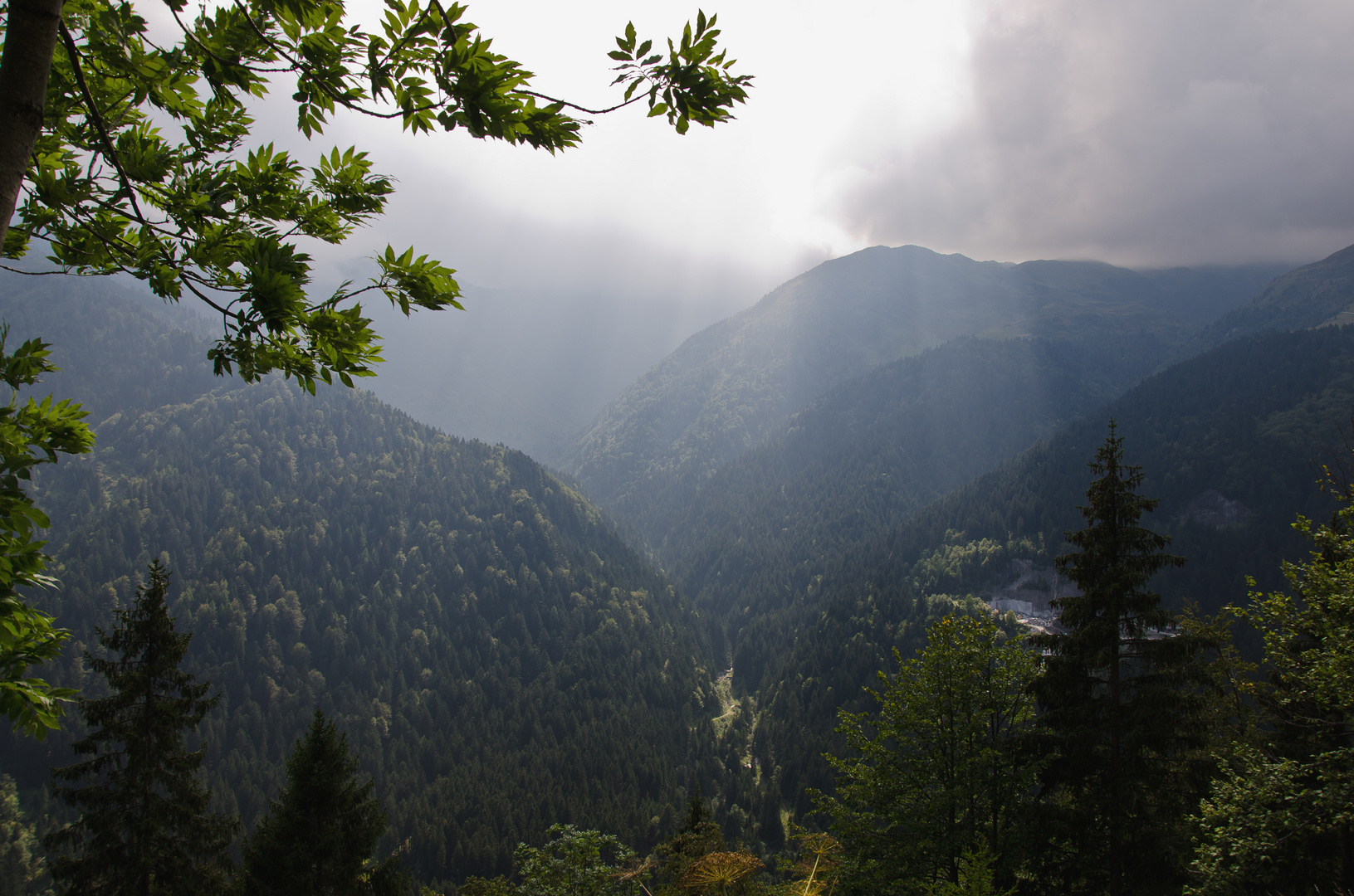 Ausblick "Österreich"