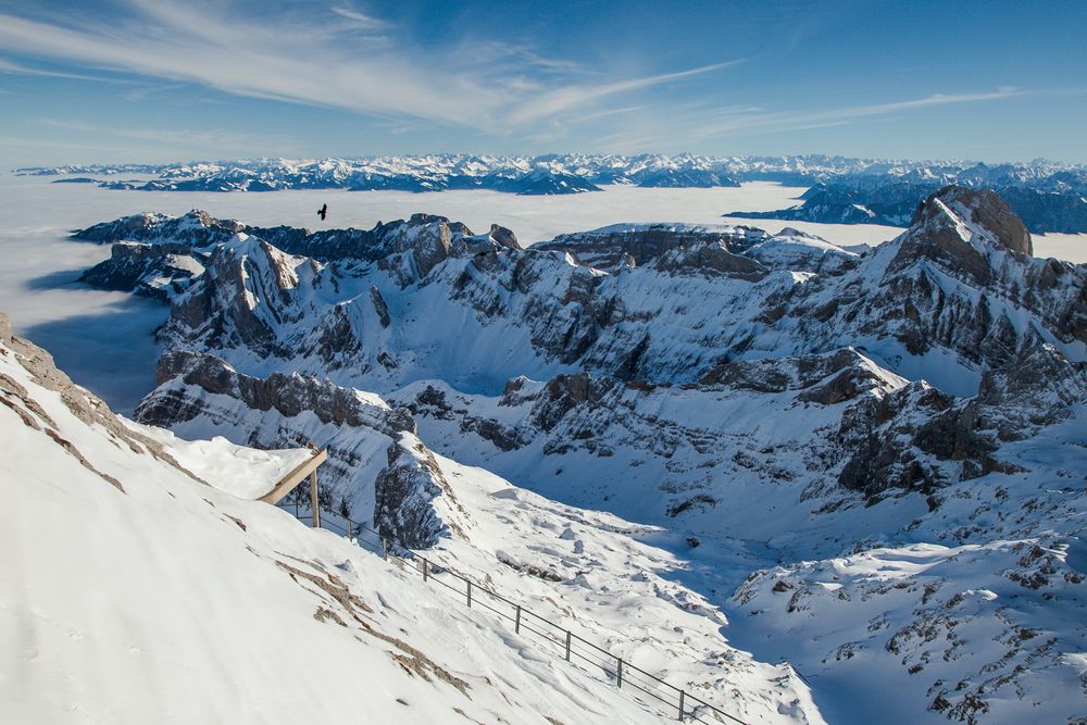 Ausblick Säntis