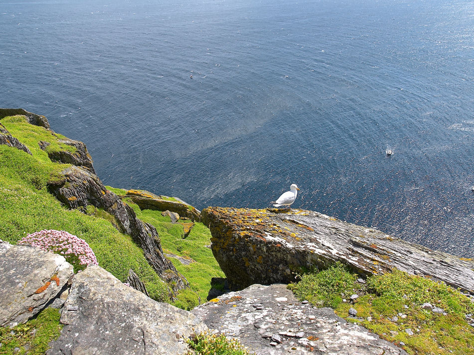 Ausblick- Skellig Islands (Irland)