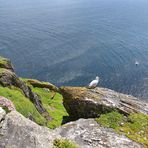 Ausblick- Skellig Islands (Irland)