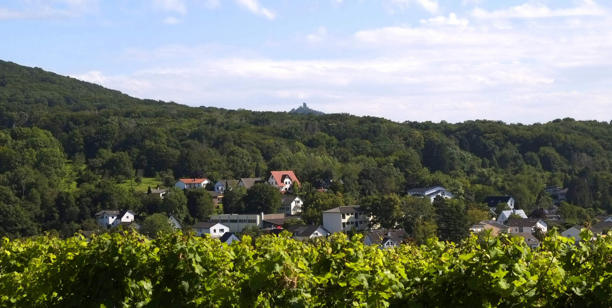 Ausblick Süd