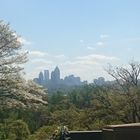 Ausblick über Atlanta im Frühling