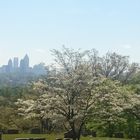 Ausblick über Atlanta im Frühling
