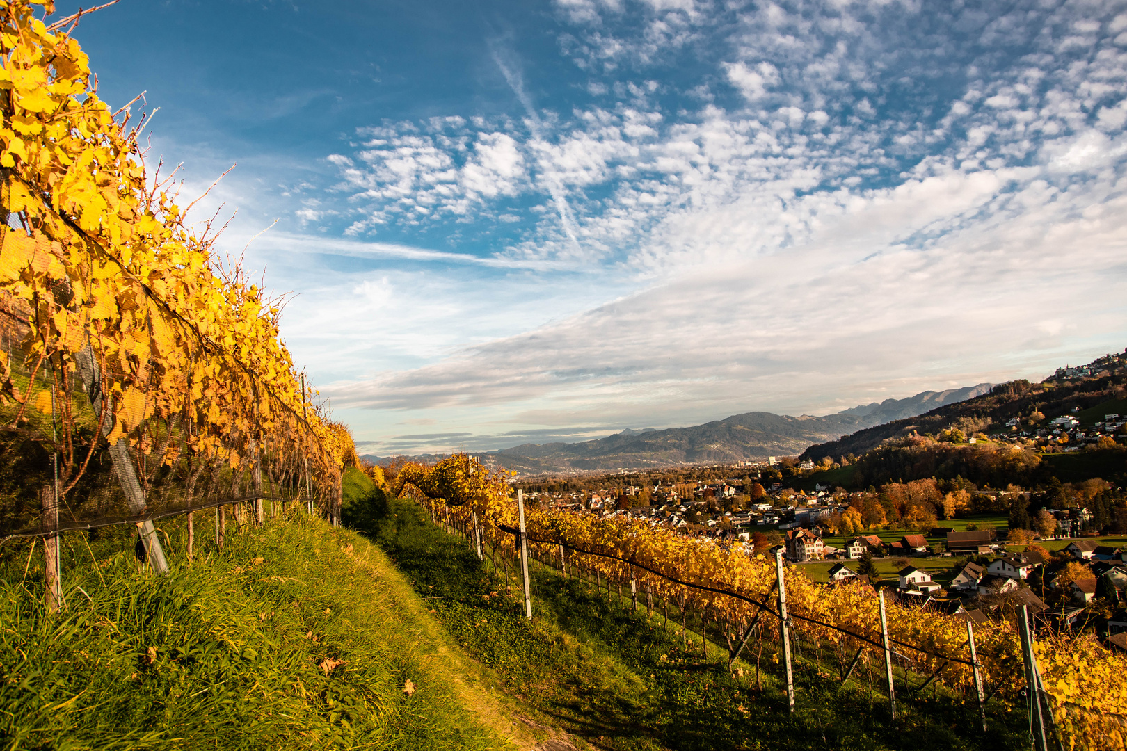 Ausblick über das Rheintal