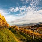 Ausblick über das Rheintal