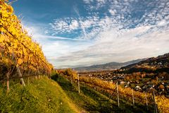 Ausblick über das Rheintal