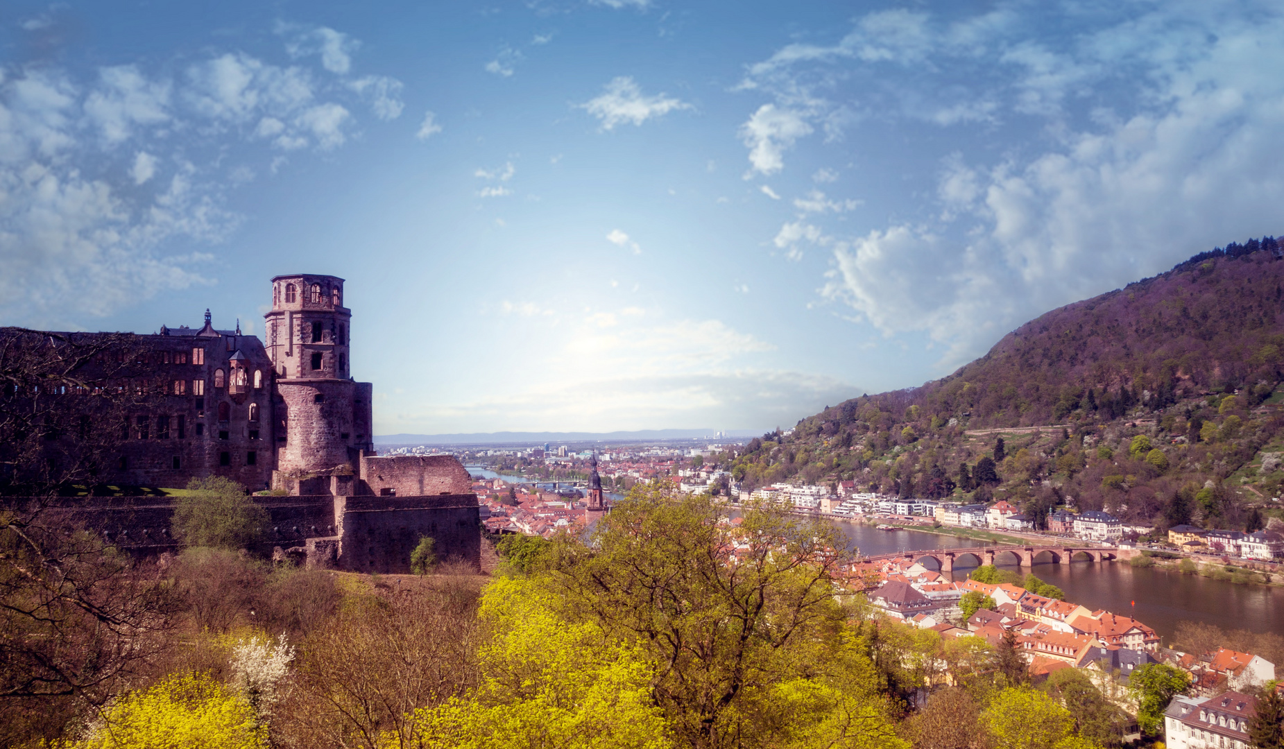 Ausblick über Heidelberg