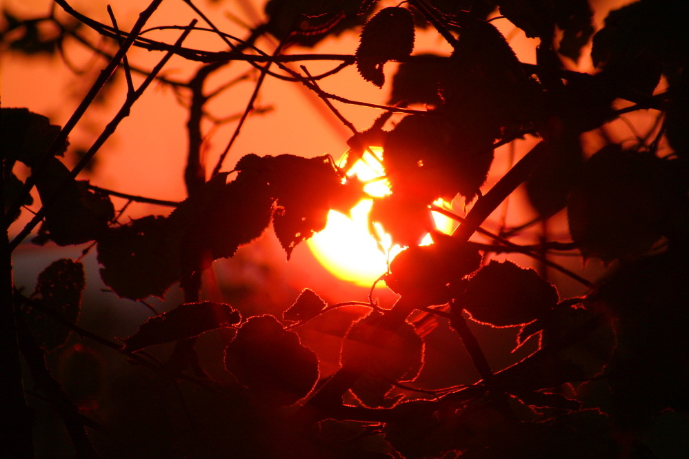 Ausblick und Hoffnung auf einen schönen Herbst