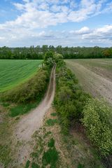 Ausblick vom Aussichtsturm auf dem Gipsberg